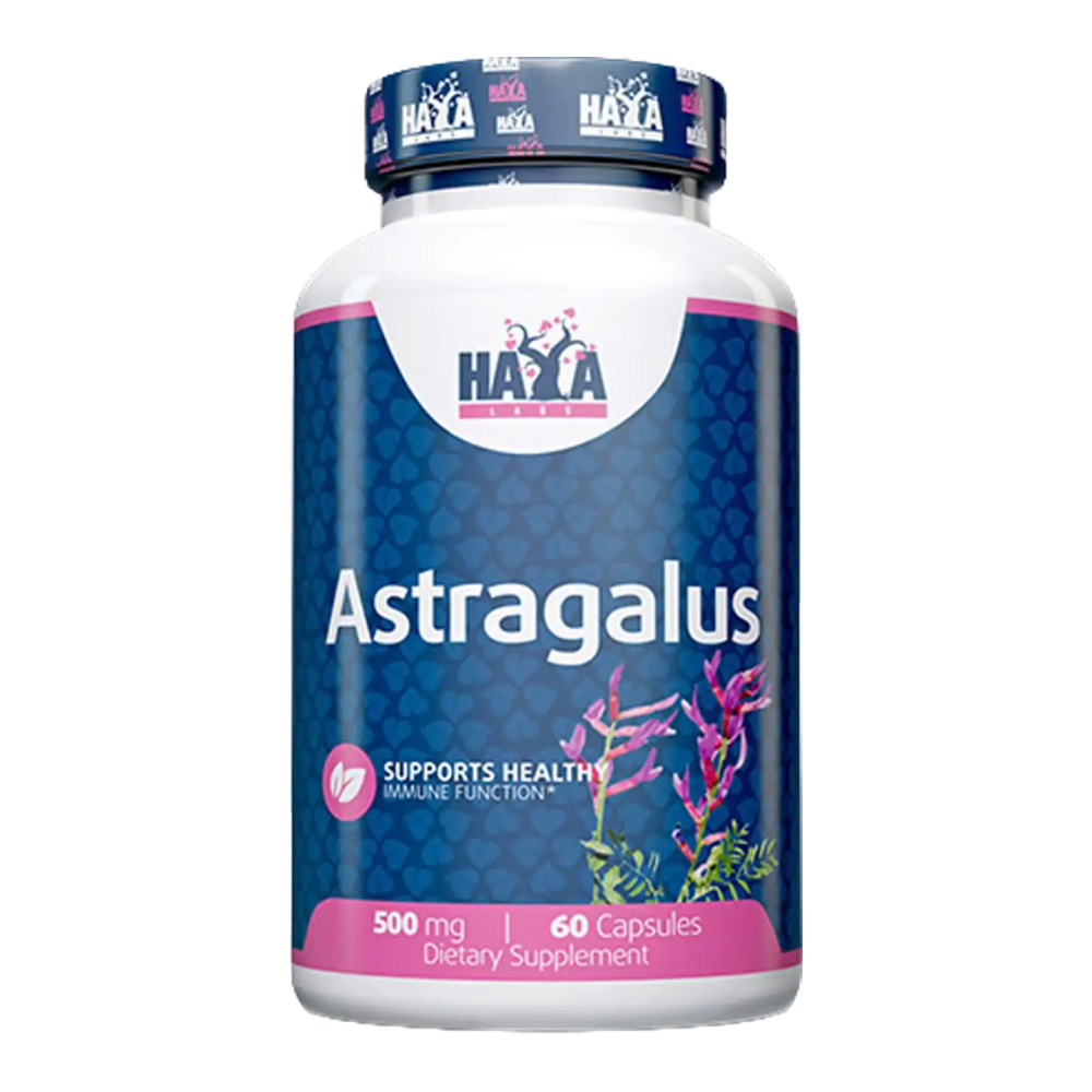 Astragalus 500mg