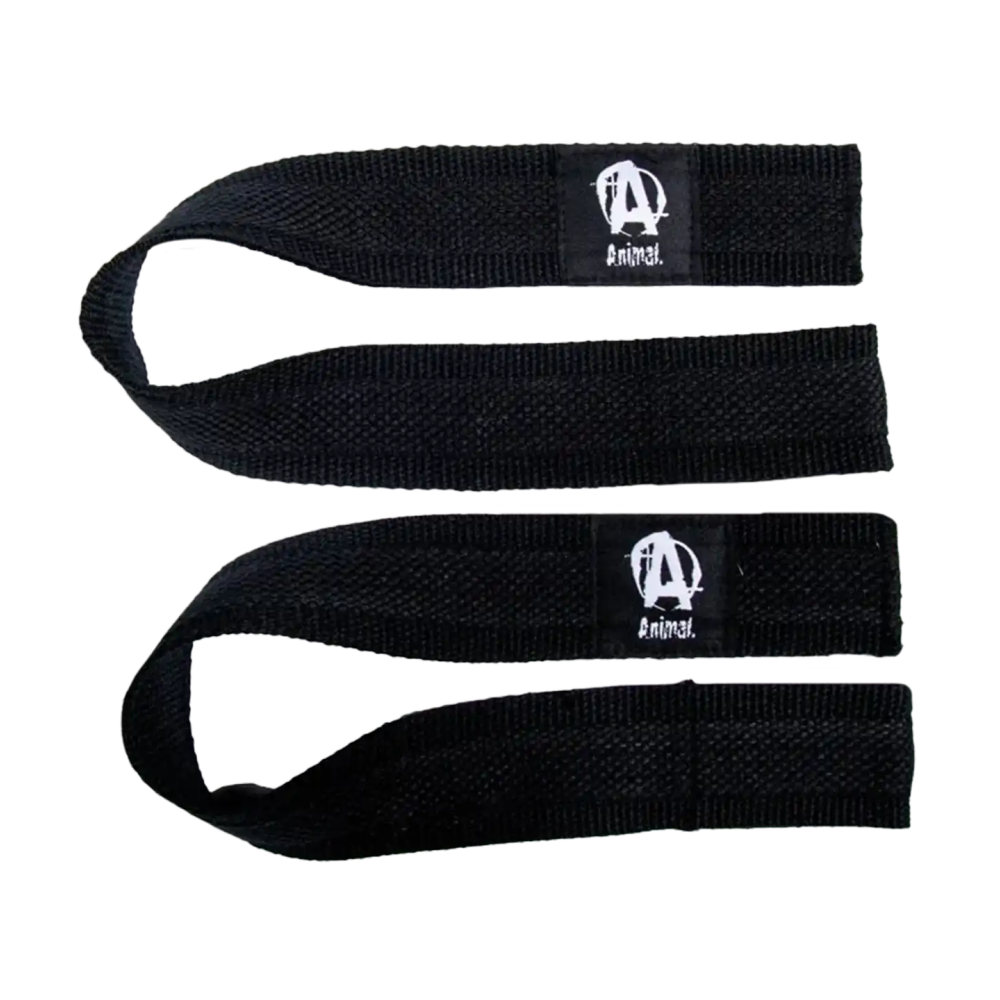 Animal Lifting Straps