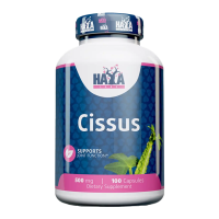 Cissus
