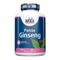 Panax Ginseng