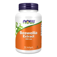 Boswellia Extract 500mg