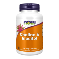 Choline en Inositol 500mg