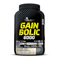 Gain Bolic 6000