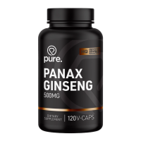 Panax Ginseng