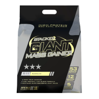 Giant Mass Gainer