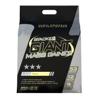 Giant Mass Gainer