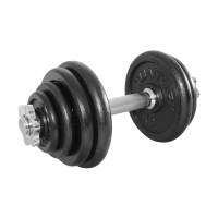 Dumbbell met 1 dumbbell stang