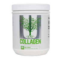 Collagen