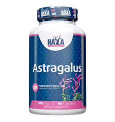 Astragalus 500mg