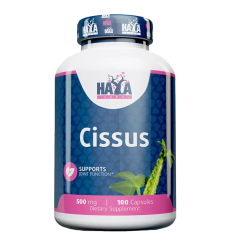 Cissus