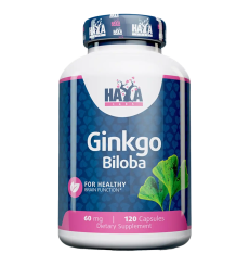 Ginkgo Biloba