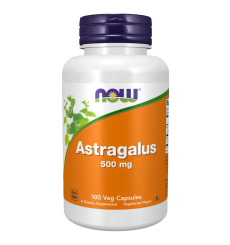 Astragalus 500mg