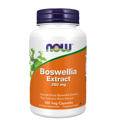Boswellia Extract 250mg