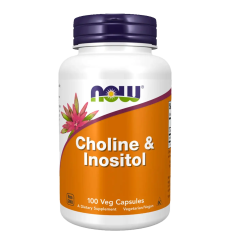 Choline en Inositol 500mg