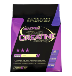 6th Gear Creatine